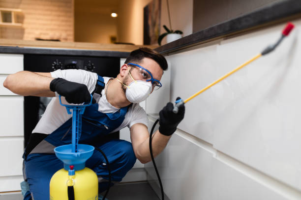 Best Termite Control Services  in Nice, CA