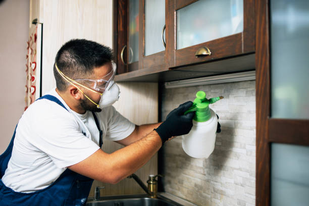 Best Wildlife Control Services  in Nice, CA
