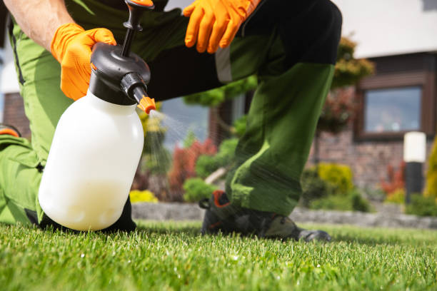 Best Pest Prevention Services  in Nice, CA