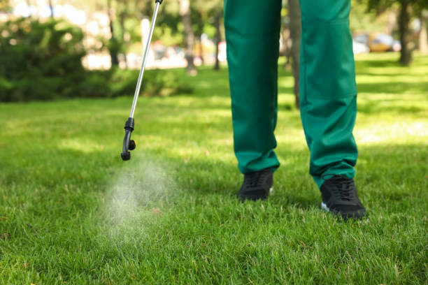 Flea Control Services in Nice, CA