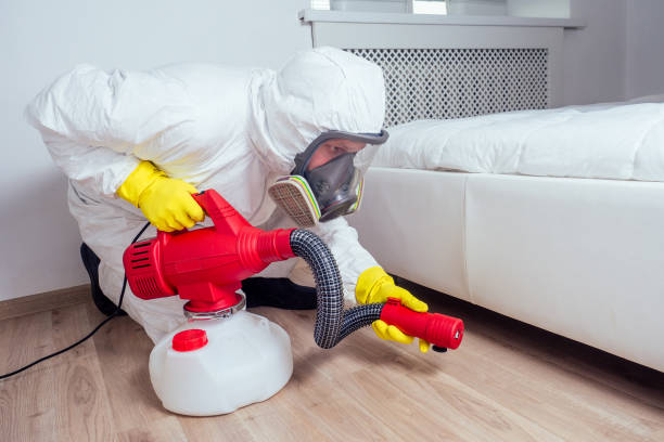 Best Residential Pest Control  in Nice, CA