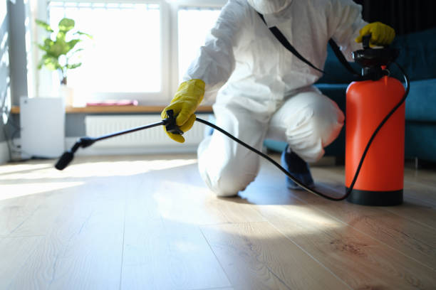 Best Best Pest Control Companies  in Nice, CA