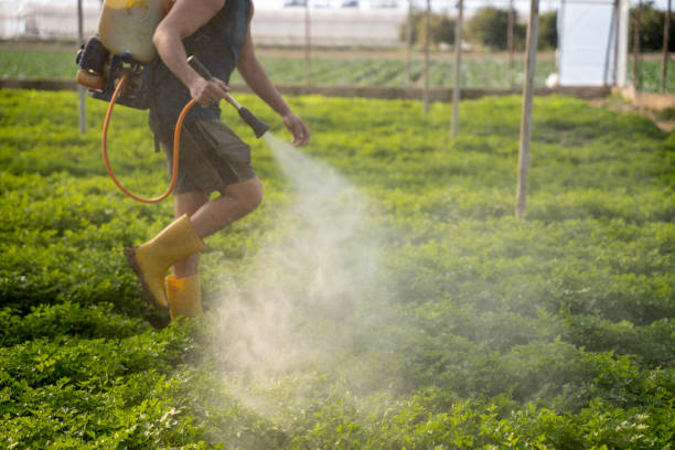 Best Best Pest Control Companies  in Nice, CA