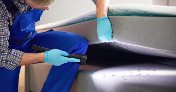 Best Commercial Pest Control Services  in Nice, CA
